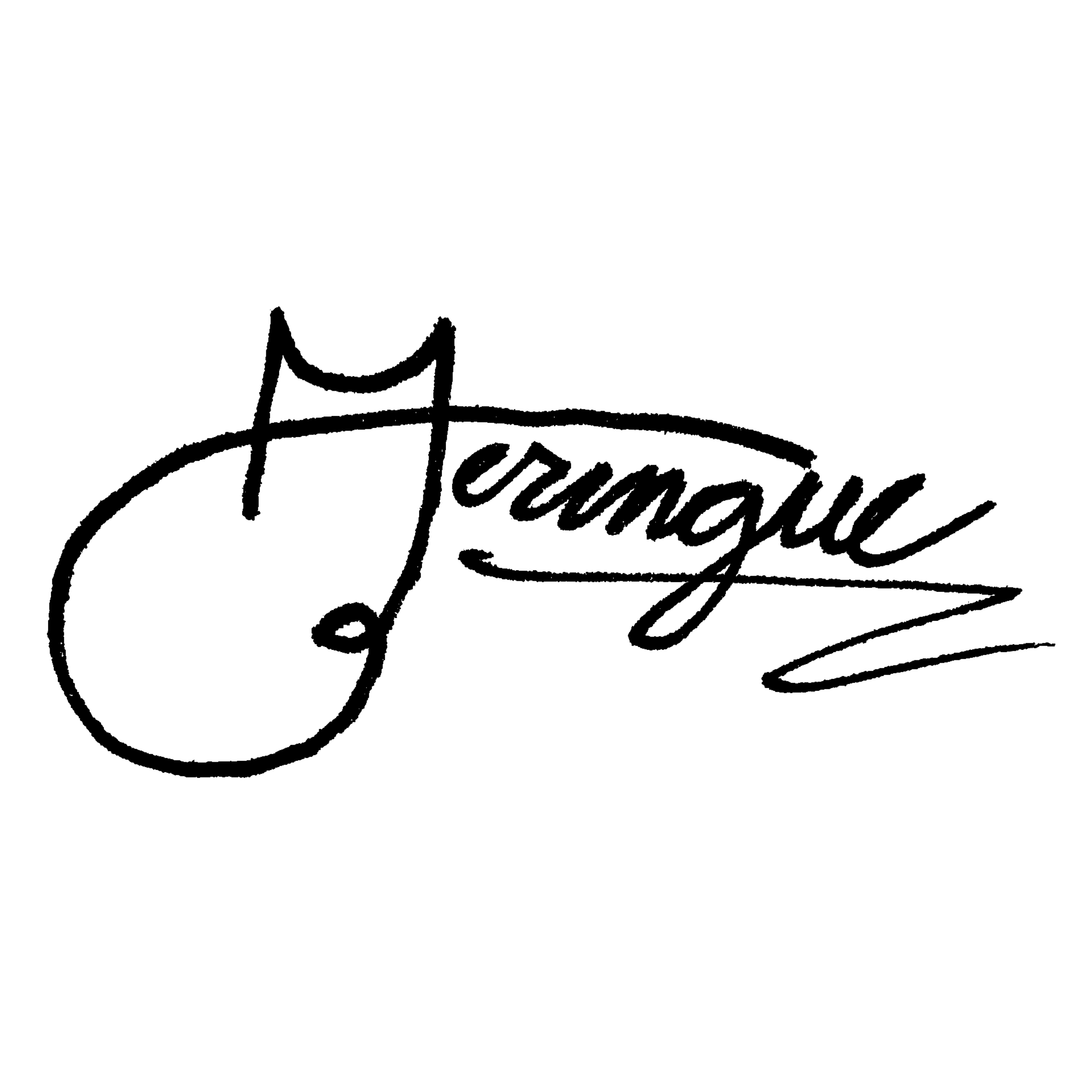 www.meringuexpyrx.com favicon
