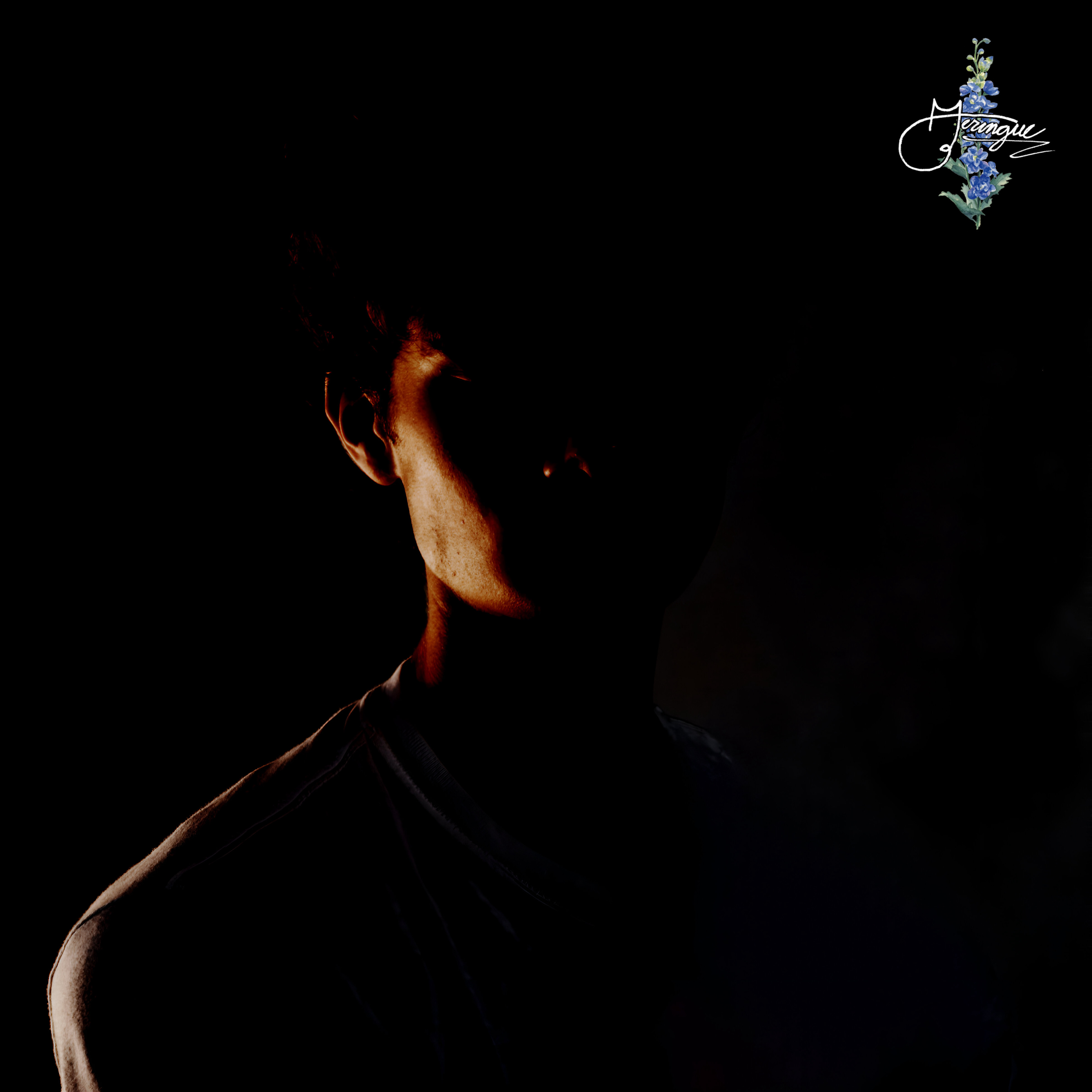 Transition 0 album artwork